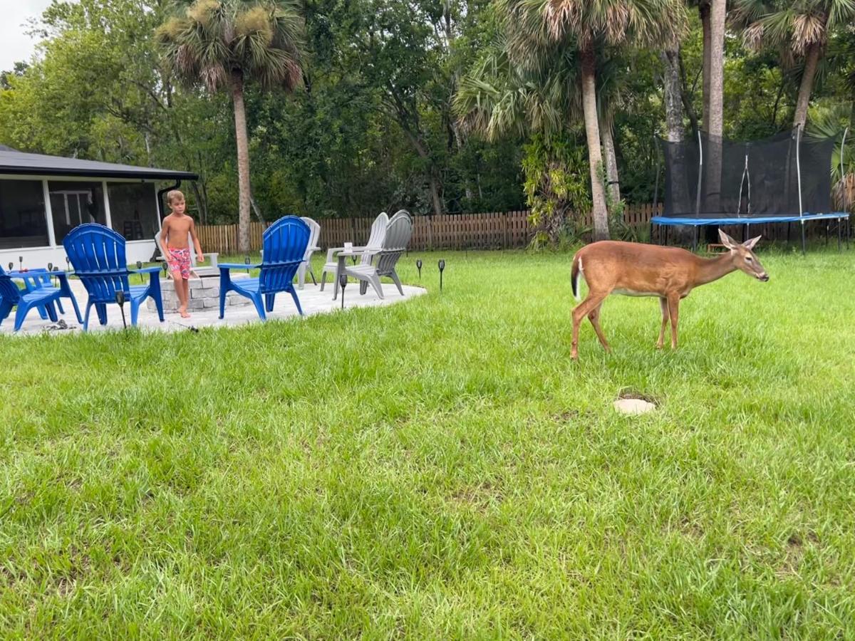 Lake Front Rv Experience Close To Port Canaveral And Kennedy Space Center *